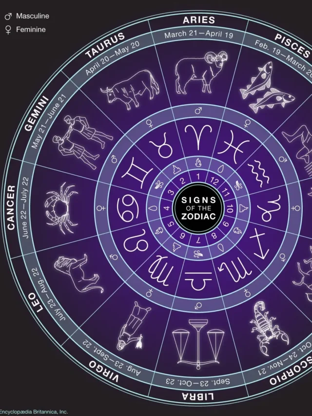 Insights for Your Zodiac Sign on a Day December 27